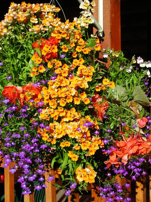 flowerbasket