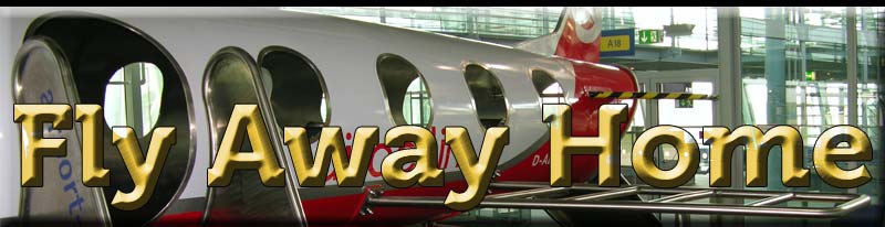 fly-away-banner
