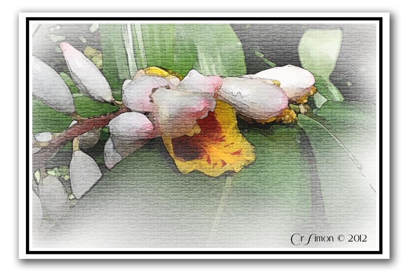 watercolor-flowers.jpg
