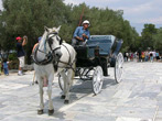 horse drawn taxi