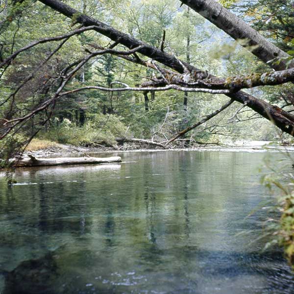 japan-stream-levels