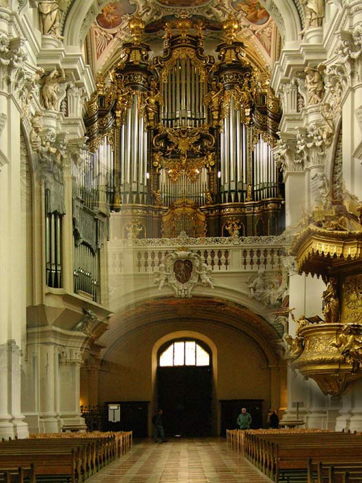 organ