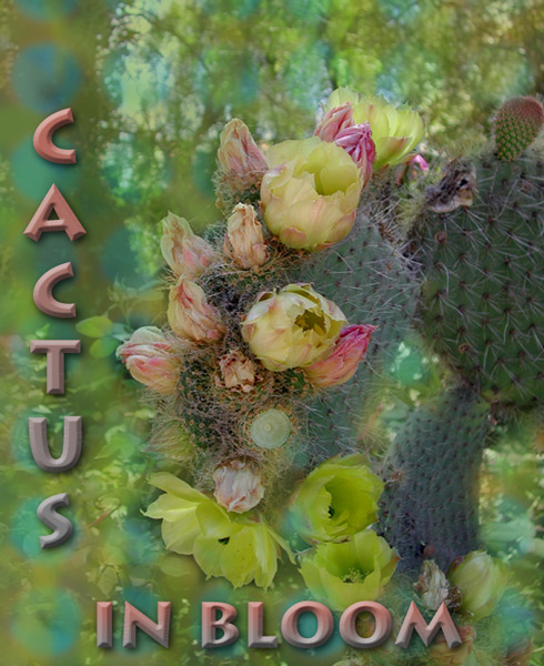 cactus