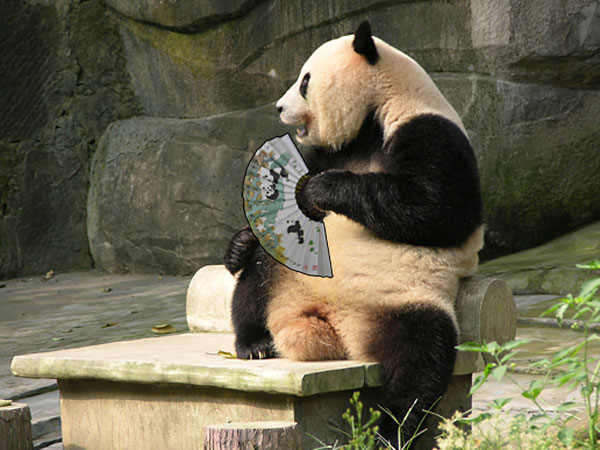 panda-fan