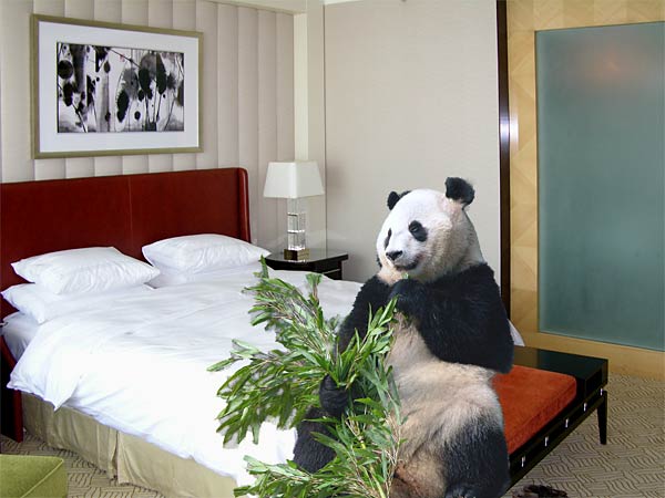 panda-on-a-bed