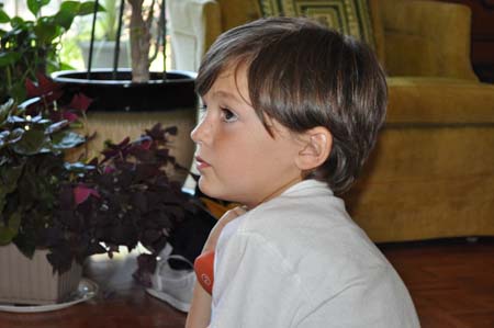 DSC_2546.jpg - 46 KB