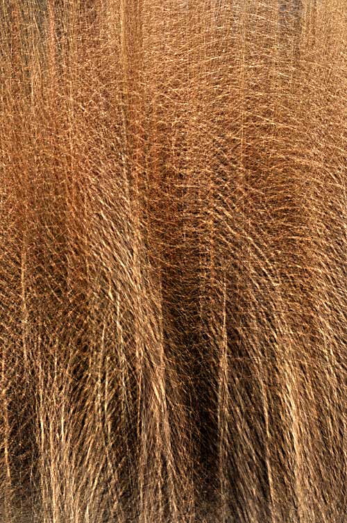 abstract02.jpg