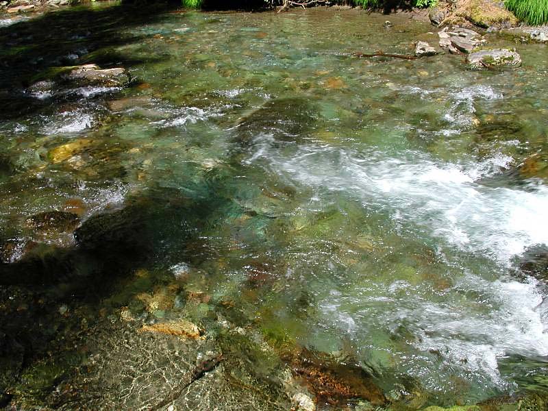 359stream