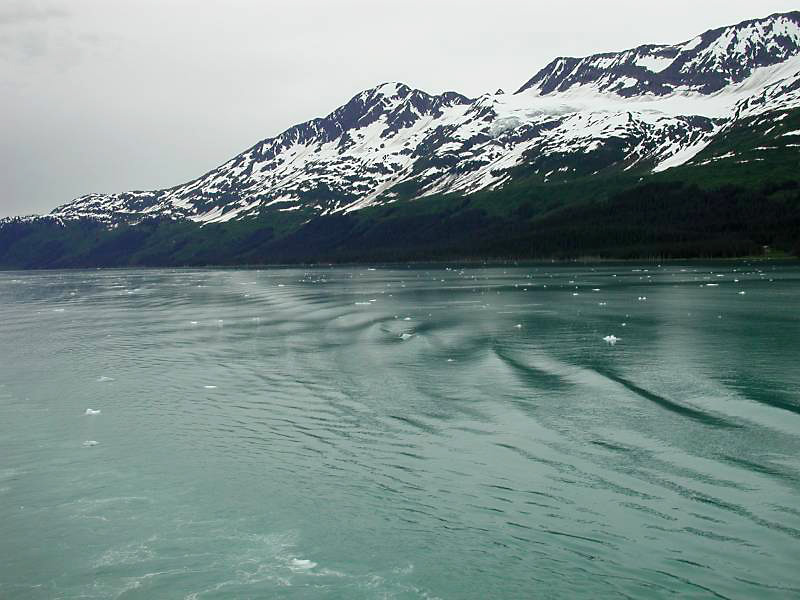 443collegefjords