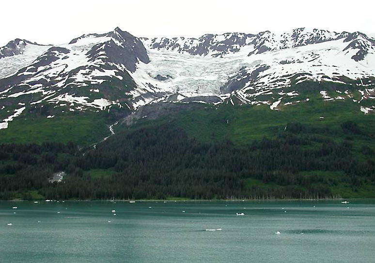 444collegefjords