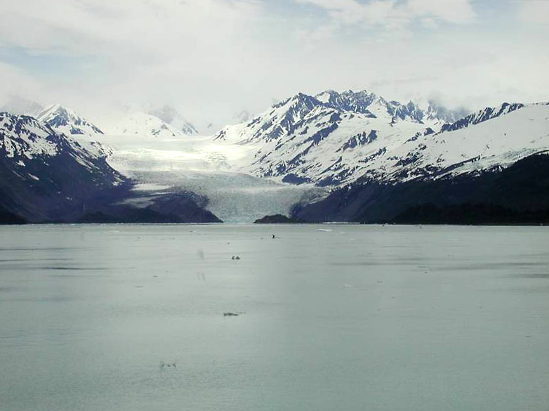 446collegefjords