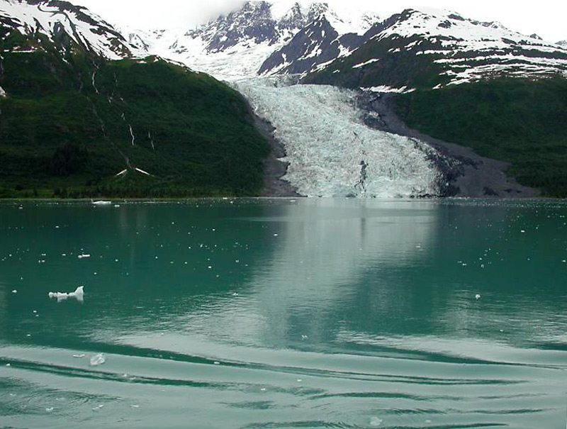 447collegefjords