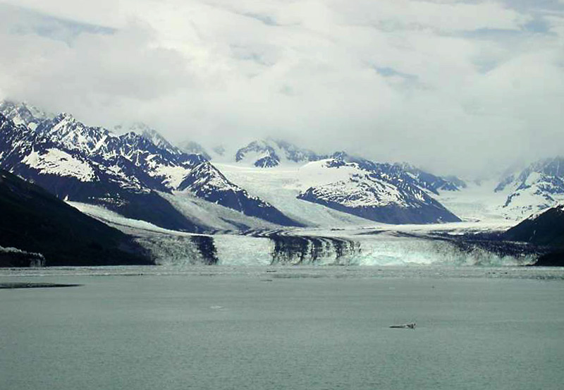 450collegefjords