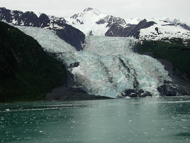 451collegefjords