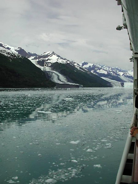 453collegefjords