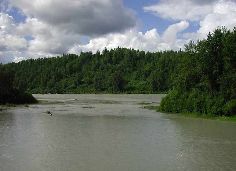 488susitnariver