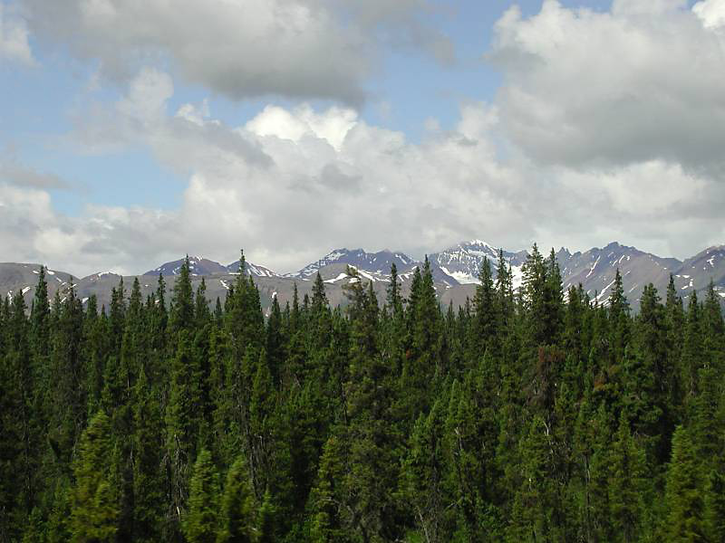 498rockymts