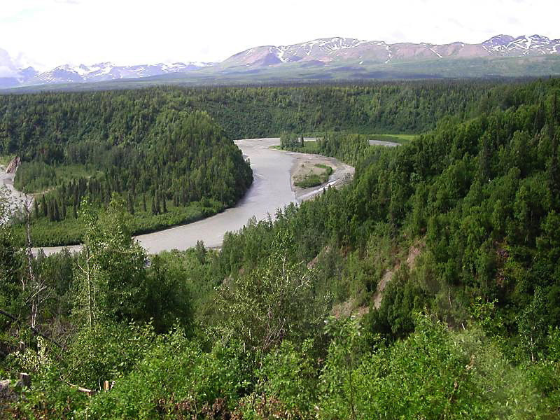 502susitnariver