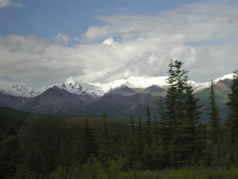 508denali