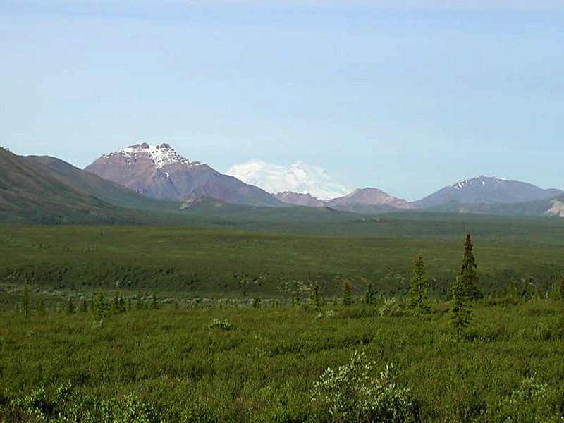 519mtmckinley