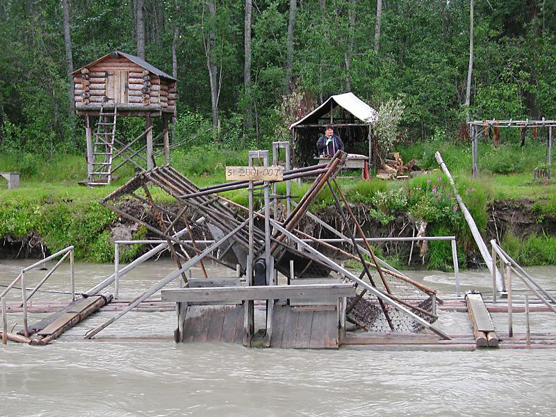 539salmontrap