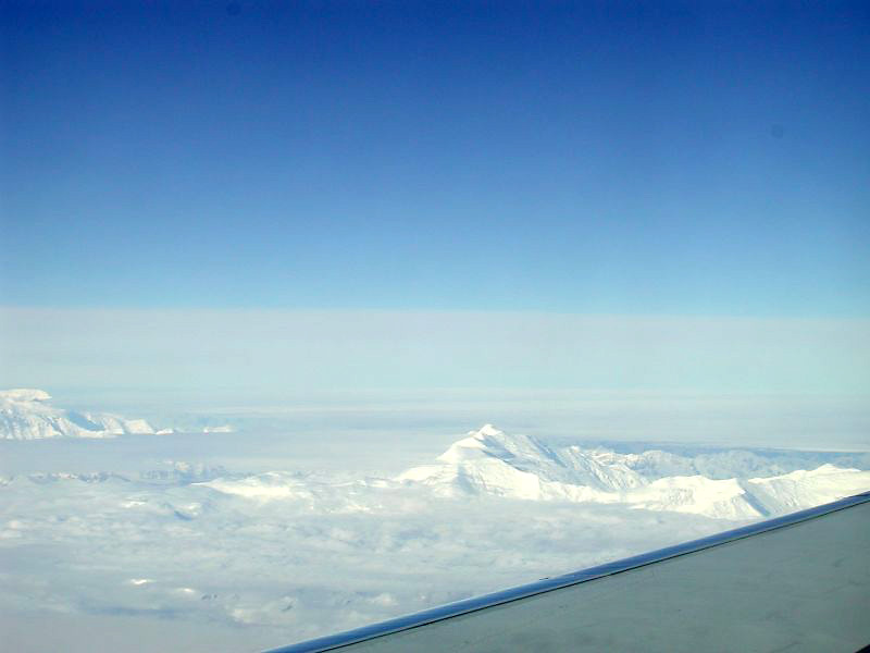 555rockies