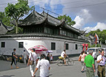 10050576tn