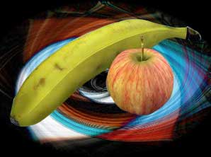 fruit-on-new-bkgrd.jpg - 9.8 KB