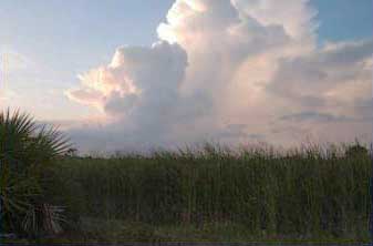 cloud-formation-curves.jpg - 6.8 KB
