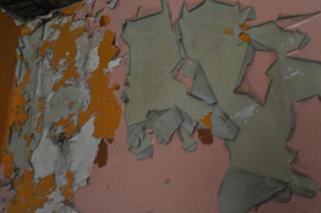 background.jpg