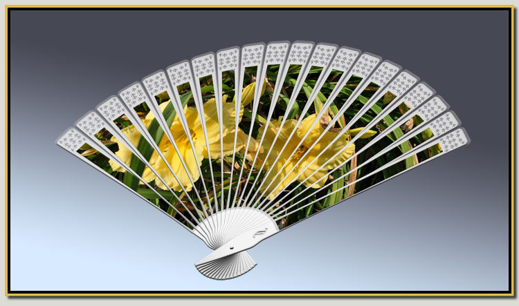 fan