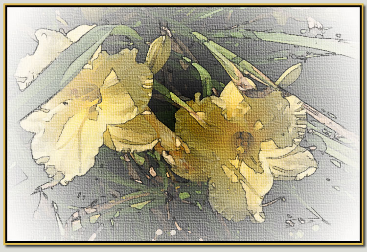 lillies-wc