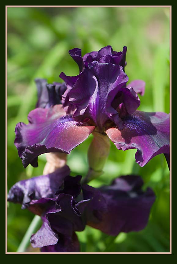 DSC_3014-as-Smart-Object-1.jpg