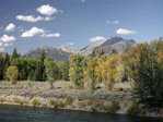 th-008-0085