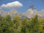 th-009-1579
