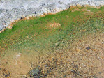 th-092-1657