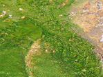 th-093-1658