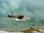 th-117-1679