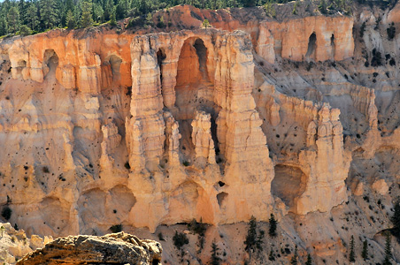 DSC_0358-copy.jpg 92.2 KB