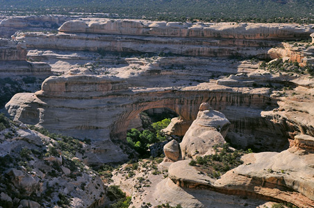 DSC_0466-copy.jpg 89.2 KB