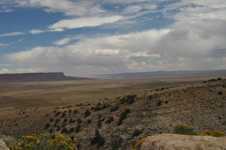 DSC_0665.jpg 54.9 KB