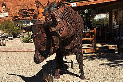 bull bull