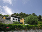 Grasse