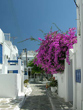 street scene