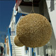 hanging light
