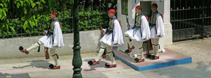 Presidential guard