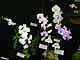 tn_dscn2580