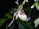 tn_dscn2581