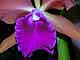 tn_dscn2592