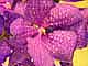 tn_dscn2600